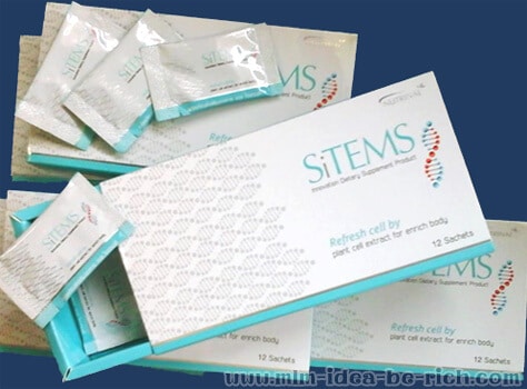 สเต็มเซลล์ Sitems ซ่อมแซมและฟื้นฟูเซลล์ ลดการเกิดเซลล์มะเร็ง