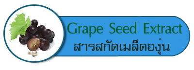 สารสกัดเมล็ดองุ่น Grape Seed Extract