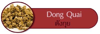 สมุนไพรตังกุย dongquai