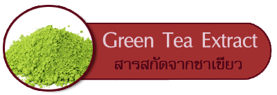 สารสกัดจากชาเขียว Green tea extract