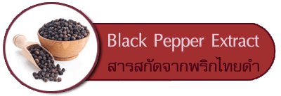 สารสกัดจากพริกไทยดำ Black Pepper Extract