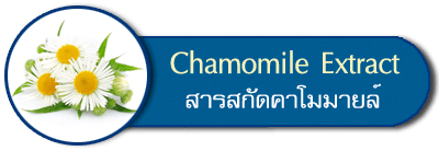 สารสกัดคาโมมายล์ chamomile extract