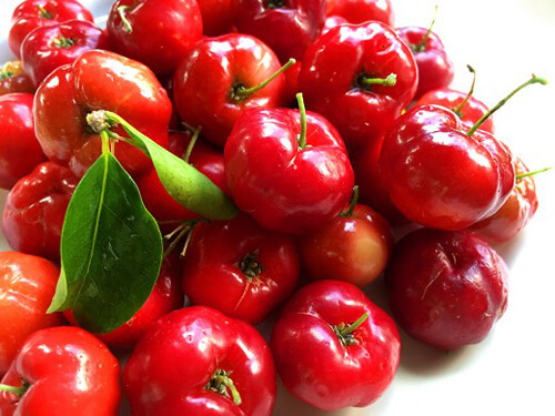สารสกัดจากอะเซโรลาเชอร์รี่ Acerola Cherry Extract