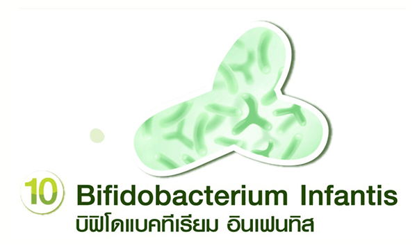 Bifidobacterium infantis บิฟิโดแบคทีเรียม อินเฟนทิส