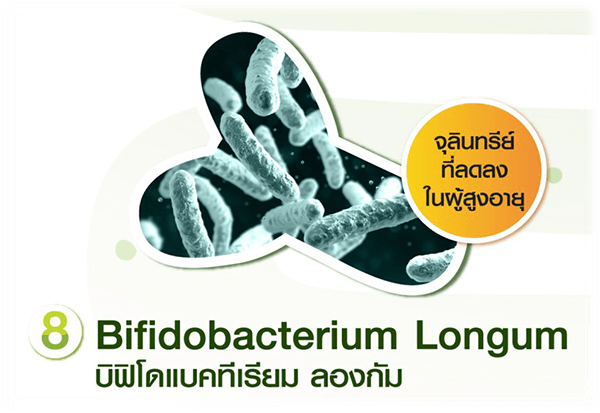 Bifidobacterium longum บิฟิโดแบคทีเรียม ลองกัม