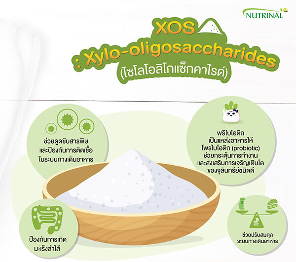 XOS : Xylo-oligosaccharides (ไซโล-โอลิโกแซ็กคาไรด์)