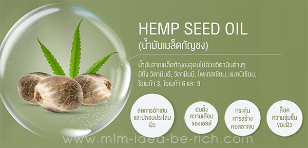 Hemp Seed Oil น้ำมันจากเมล็ดกัญชง