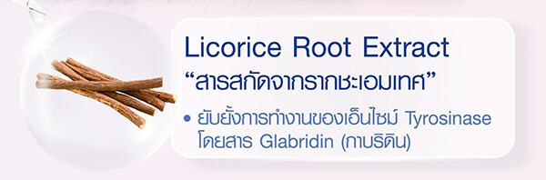 สารสกัดจากรากชะเอมเทศ Glycryrhiza Glabra (Licorice) Root Extract
