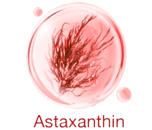 แอสต้าแซนธิน (Astaxanthin)