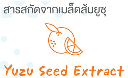 Yuzu Seed Extract  สารสกัดจากเมล็ดส้มยูซุ 