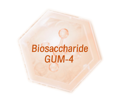 เกราะป้องกันผิว Biosaccharide GUM-4